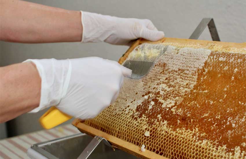 راهنمای جهت برداشت عسل