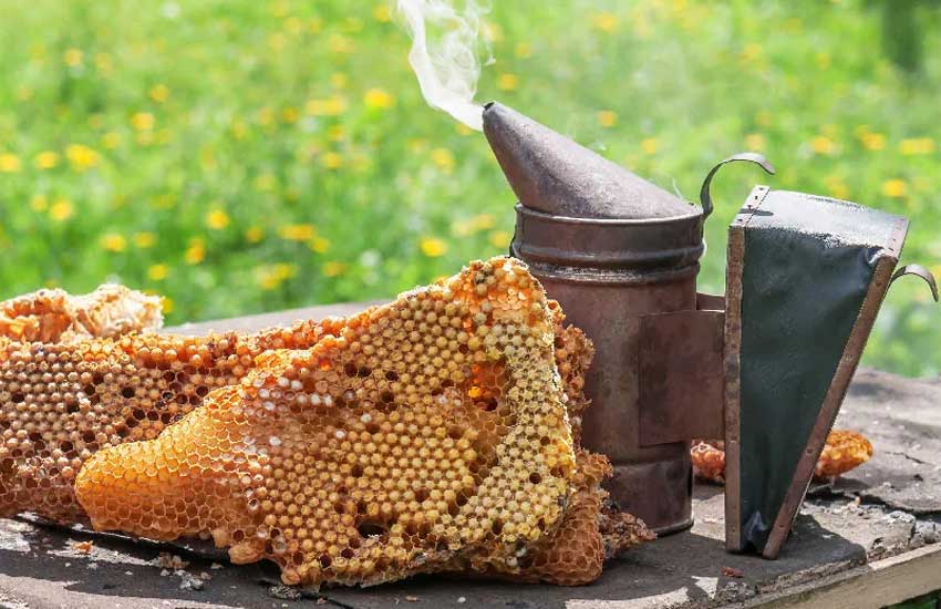 وسایل مورد نیاز برداشت عسل
